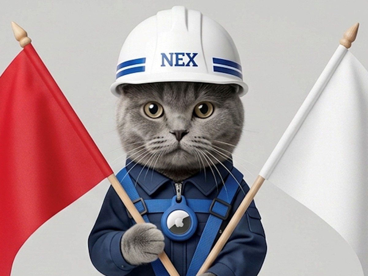 株式会社 NEX